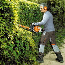 Jardinería y Forestal